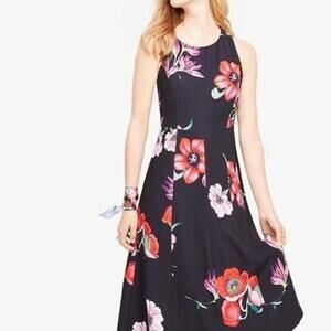 Ann Taylor Women's Black and Multi Dress